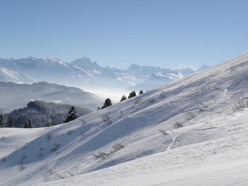 Chalet Hotel Vaccapark Le Praz de Lys Bagian luar foto