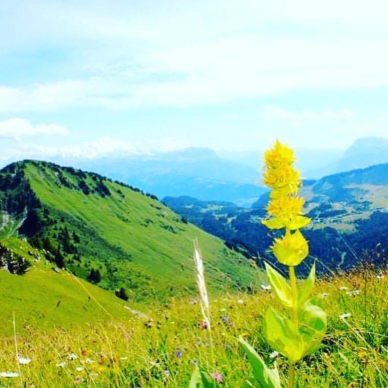 Chalet Hotel Vaccapark Le Praz de Lys Bagian luar foto