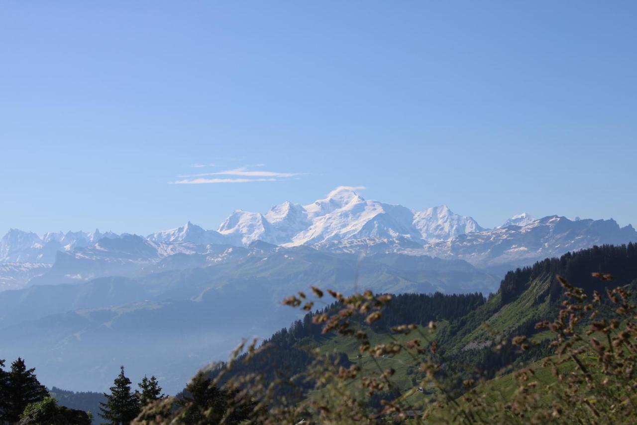 Chalet Hotel Vaccapark Le Praz de Lys Bagian luar foto