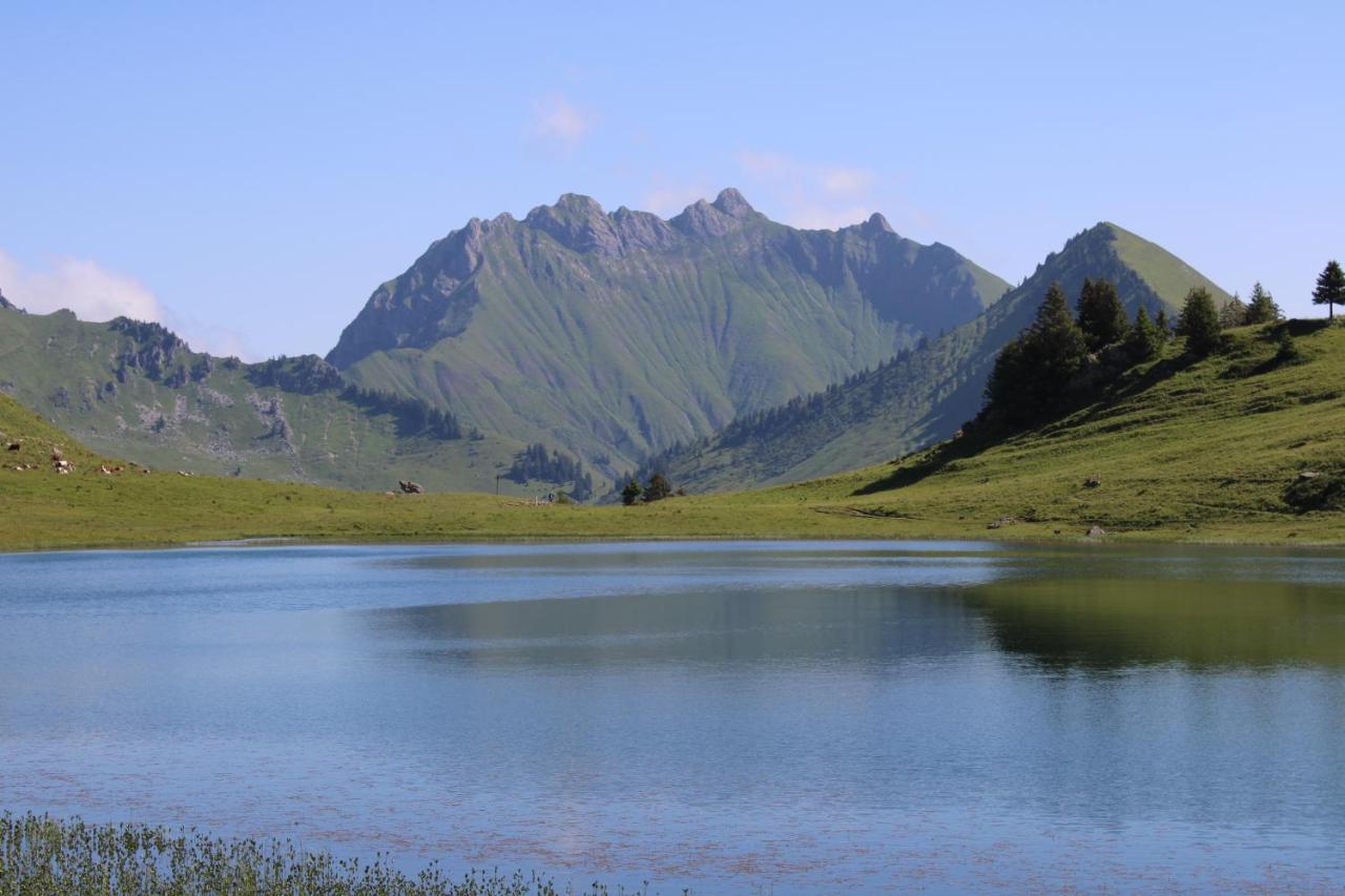 Chalet Hotel Vaccapark Le Praz de Lys Bagian luar foto