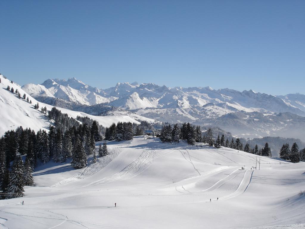 Chalet Hotel Vaccapark Le Praz de Lys Bagian luar foto